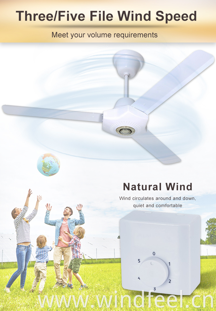 Summer Air Cooling 56inch Electrical Ceiling Fan